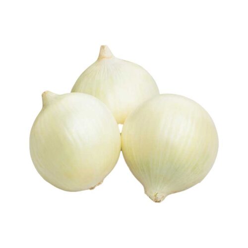 Oignon blanc